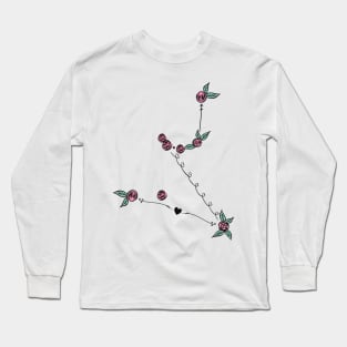 Hydrus (Lesser Water Snake) Constellation Roses and Hearts Doodle Long Sleeve T-Shirt